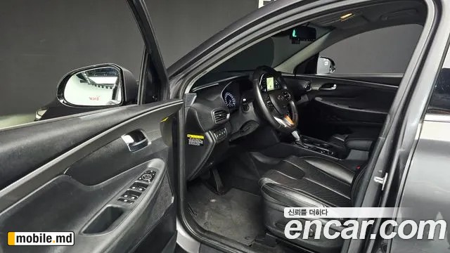 2019 Hyundai Santafe — photo 10