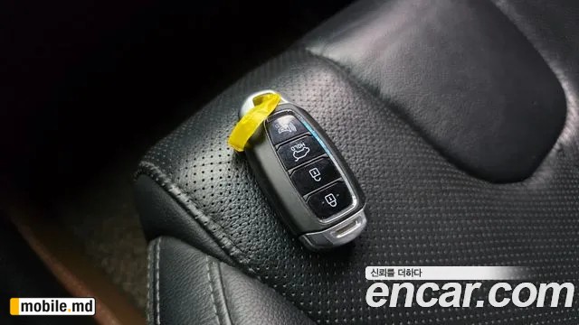 2019 Hyundai Santafe — photo 29