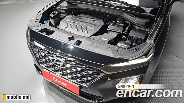 2019 Hyundai Santafe — photo 6