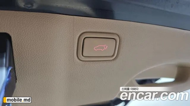 2019 Kia Canival — photo 31