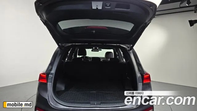 2019 Hyundai Santafe — photo 20