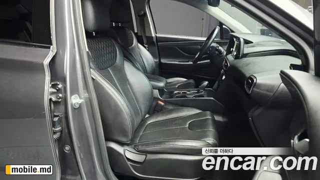 2019 Hyundai Santafe — photo 26