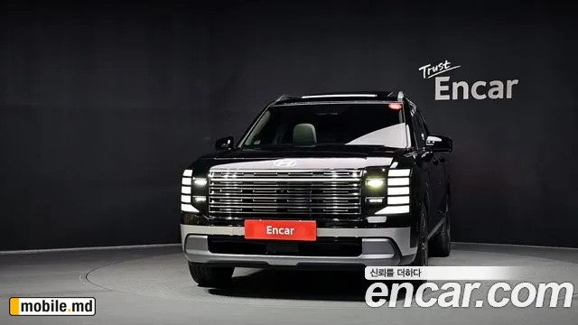 2025 Hyundai Palisade — photo 3