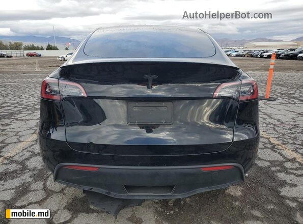 2023 Tesla Model Y — photo 6