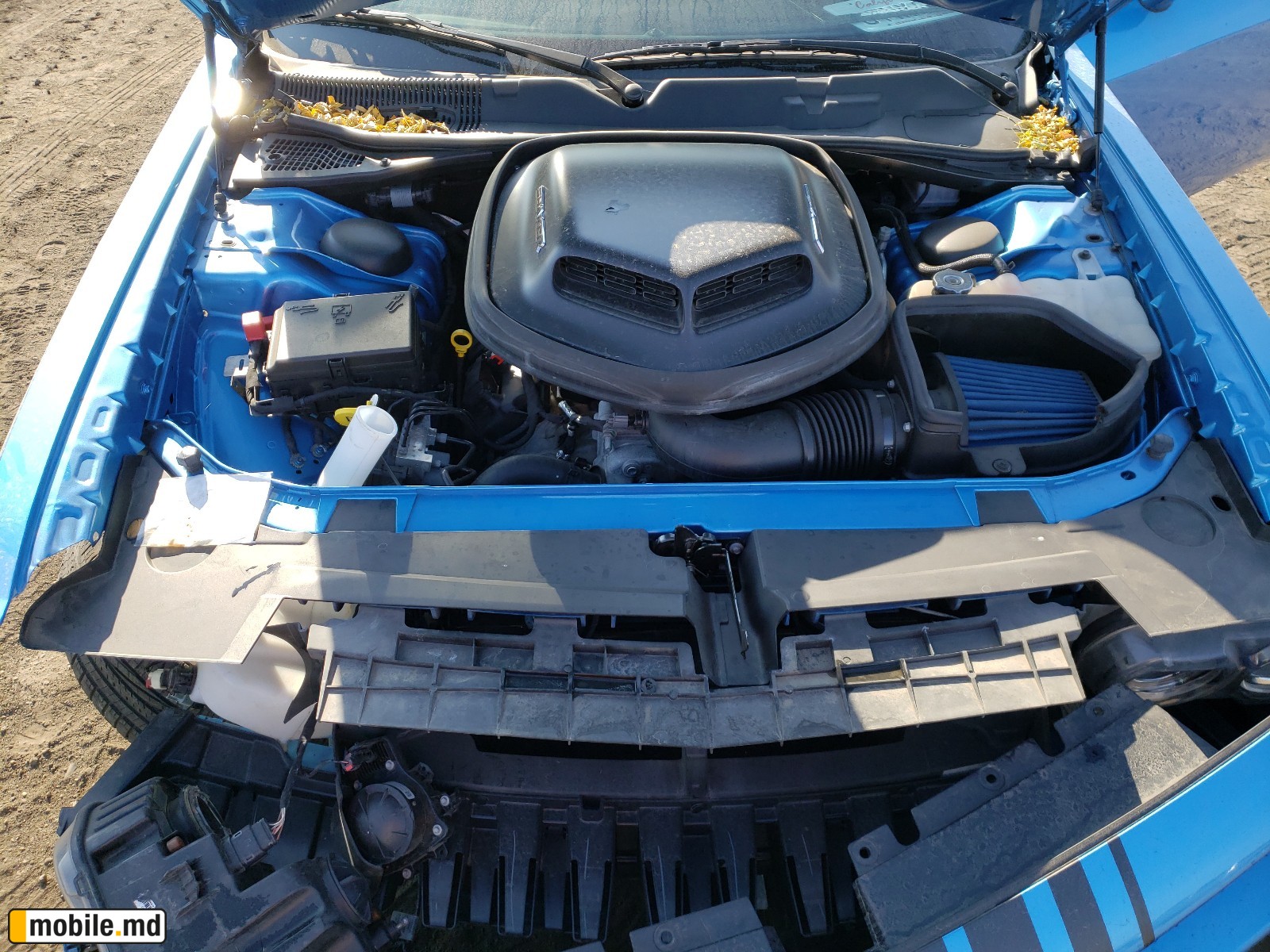 2019 Dodge Challenger — photo 7