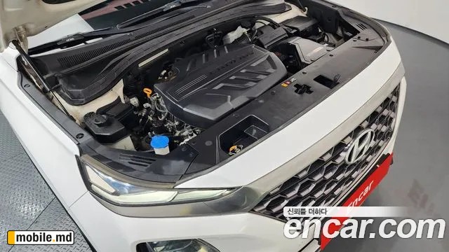 2019 Hyundai Santafe — photo 6