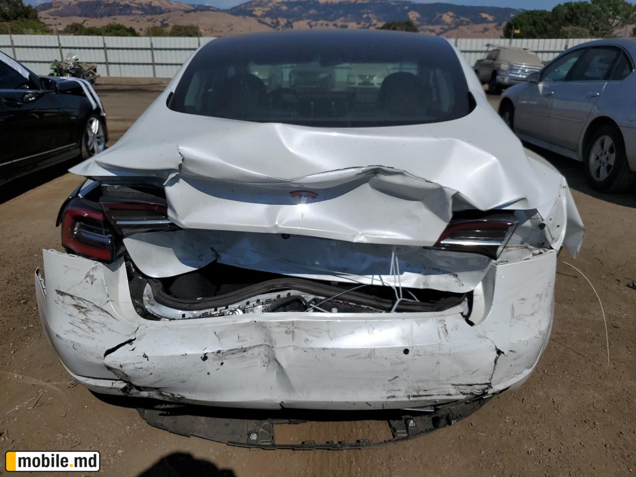 2020 Tesla Model 3 — photo 6