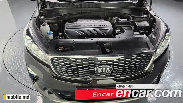 2019 Kia Sorento — photo 6