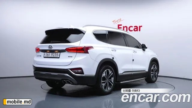 2019 Hyundai Santafe — photo 2