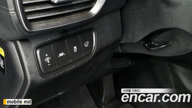 2019 Hyundai Santafe — photo 28