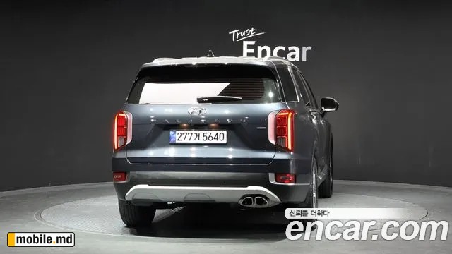 2020 Hyundai Palisade — photo 4