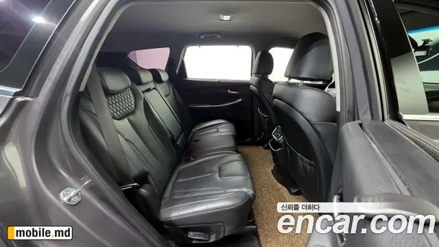 2019 Hyundai Santafe — photo 19