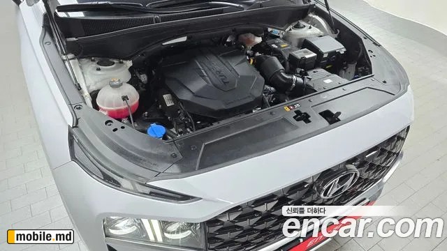 2021 Hyundai Santafe — photo 6