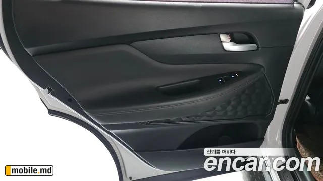 2019 Hyundai Santafe — photo 25