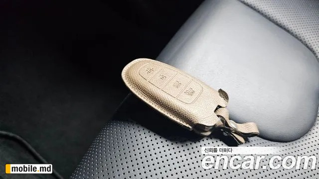 2021 Hyundai Santafe — photo 17