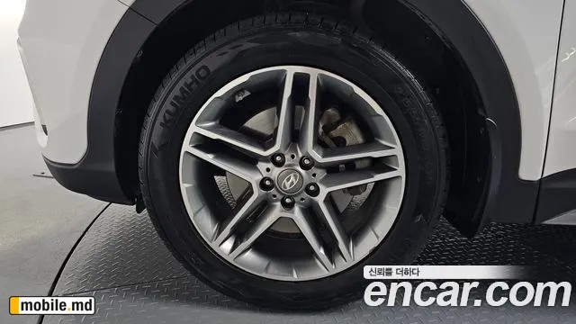 2018 Hyundai Maxcruz — photo 5