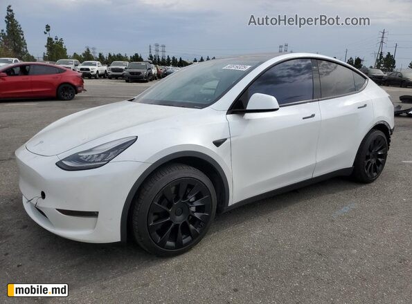 2020 Tesla Model Y