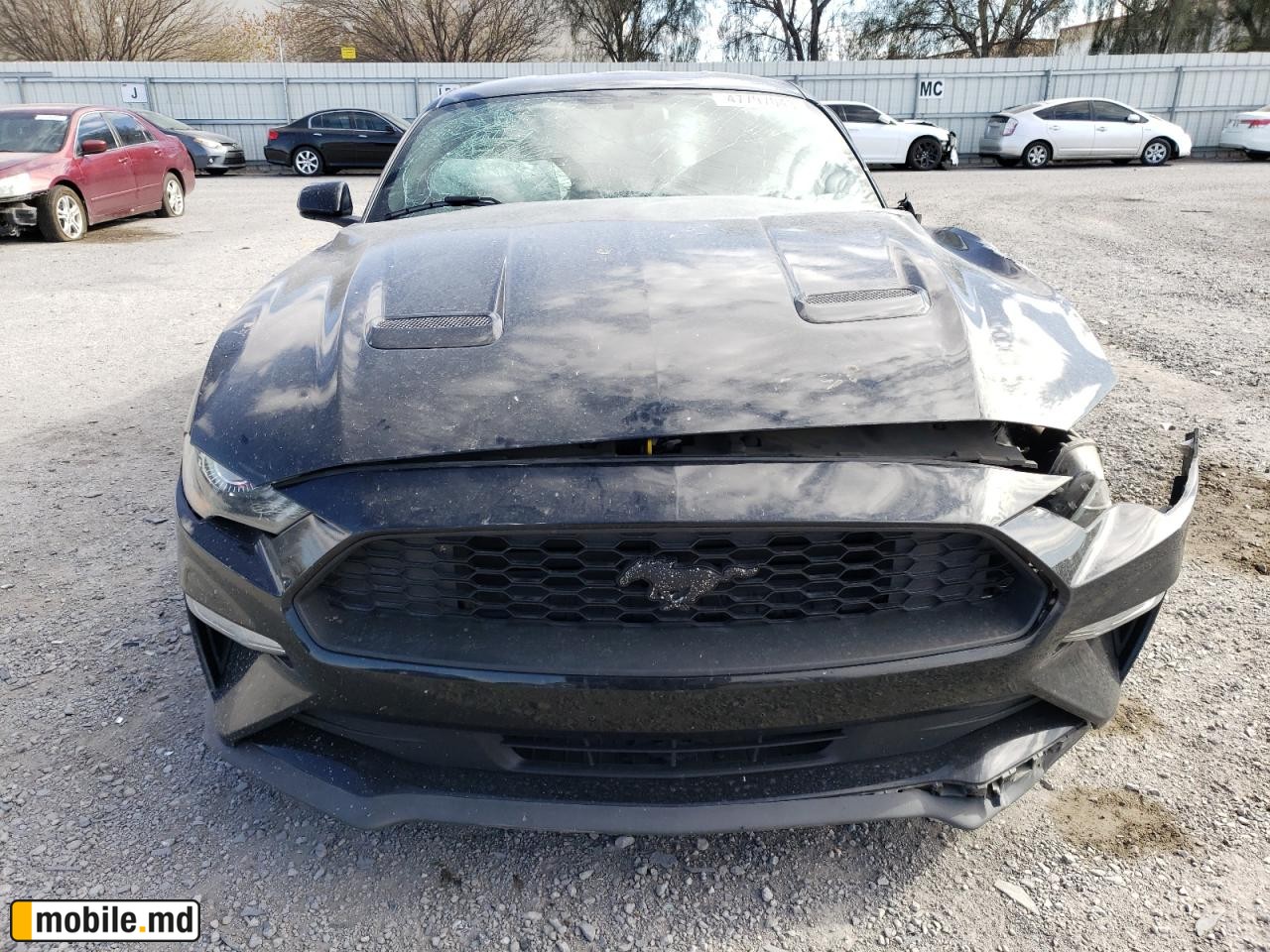 2019 Ford Mustang — photo 4