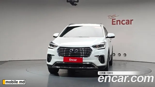 2018 Hyundai Maxcruz — photo 3