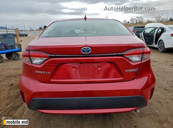 2020 Toyota Corolla — photo 6