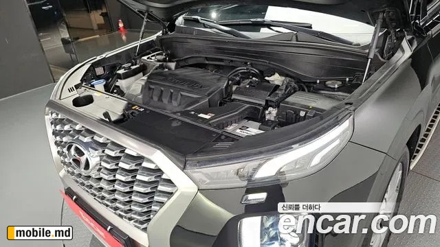 2019 Hyundai Palisade — photo 6