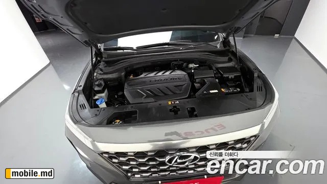 2019 Hyundai Santafe — photo 6