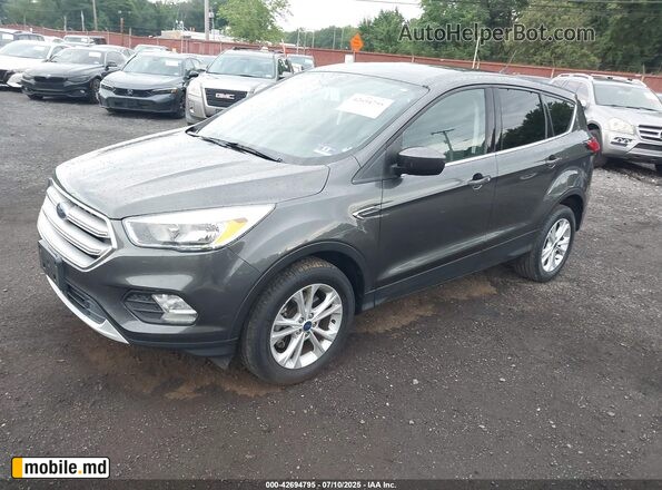 2019 Ford Escape — photo 2