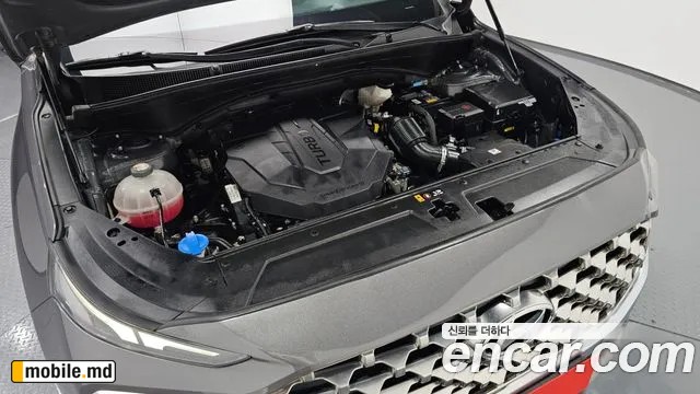 2021 Hyundai Santafe — photo 6