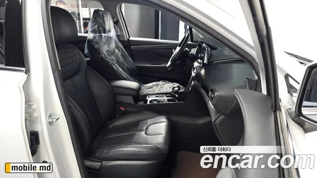 2019 Hyundai Santafe — photo 26