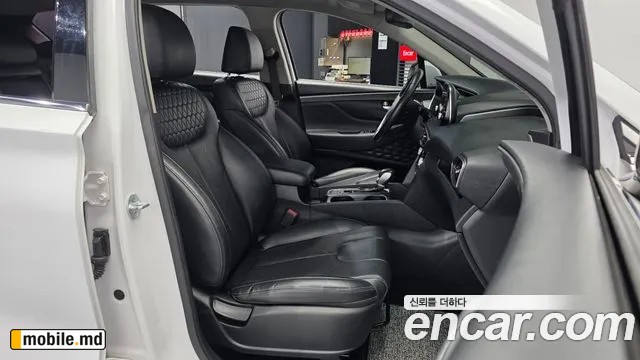 2019 Hyundai Santafe — photo 11