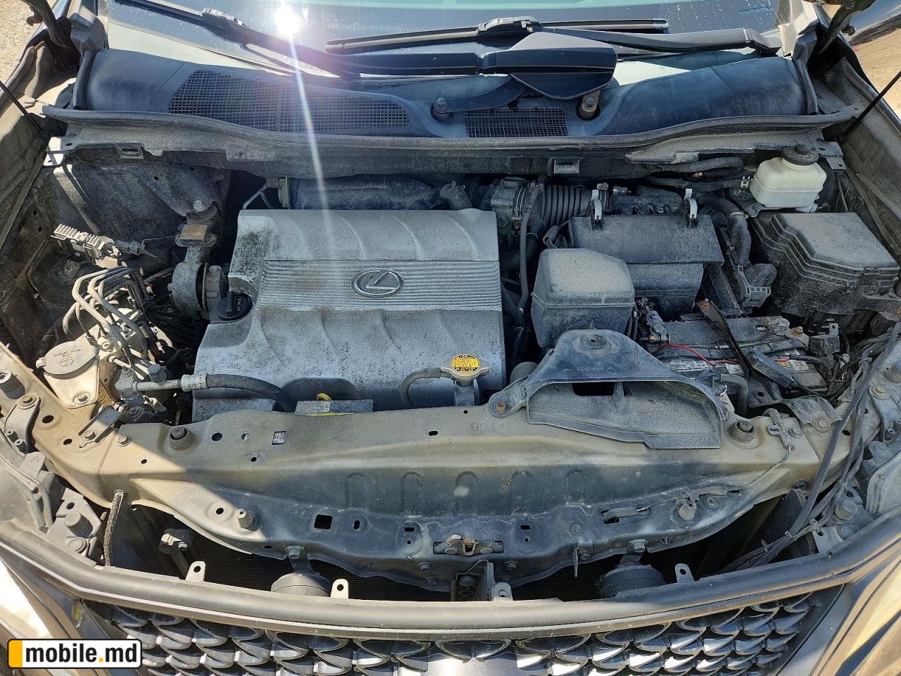 2013 Lexus RX — photo 12