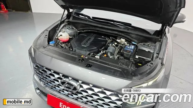 2021 Hyundai Santafe — photo 6