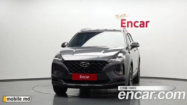 2019 Hyundai Santafe — photo 3