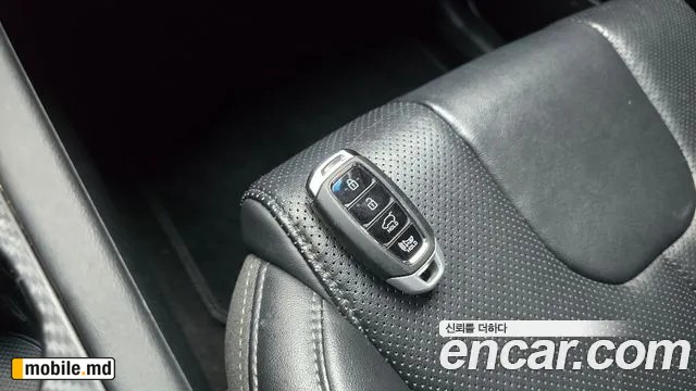 2019 Hyundai Santafe — photo 18