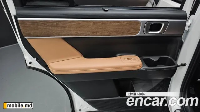 2025 Hyundai Santafe — photo 25