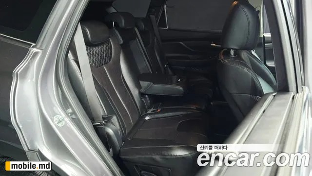 2019 Hyundai Santafe — photo 11