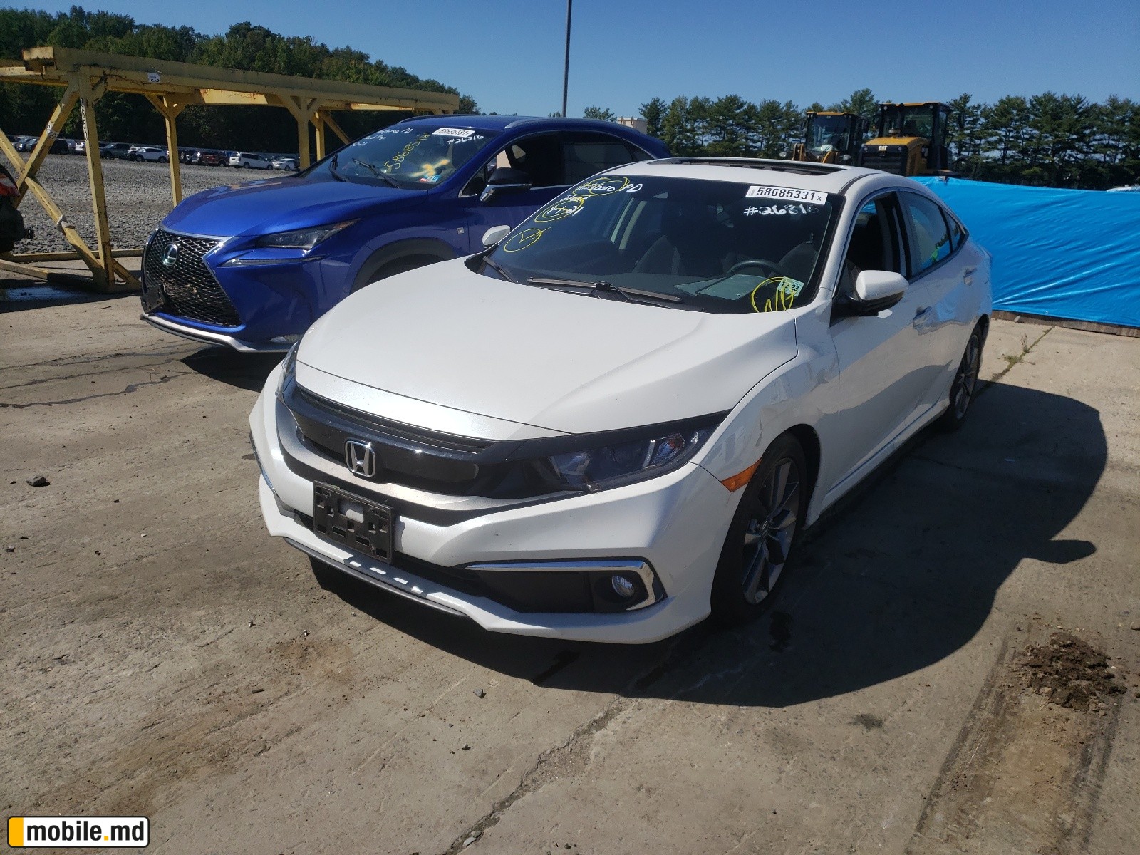 2019 Honda Civic — photo 2