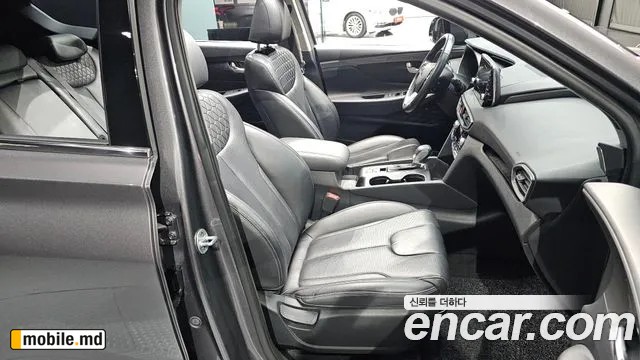 2019 Hyundai Santafe — photo 26