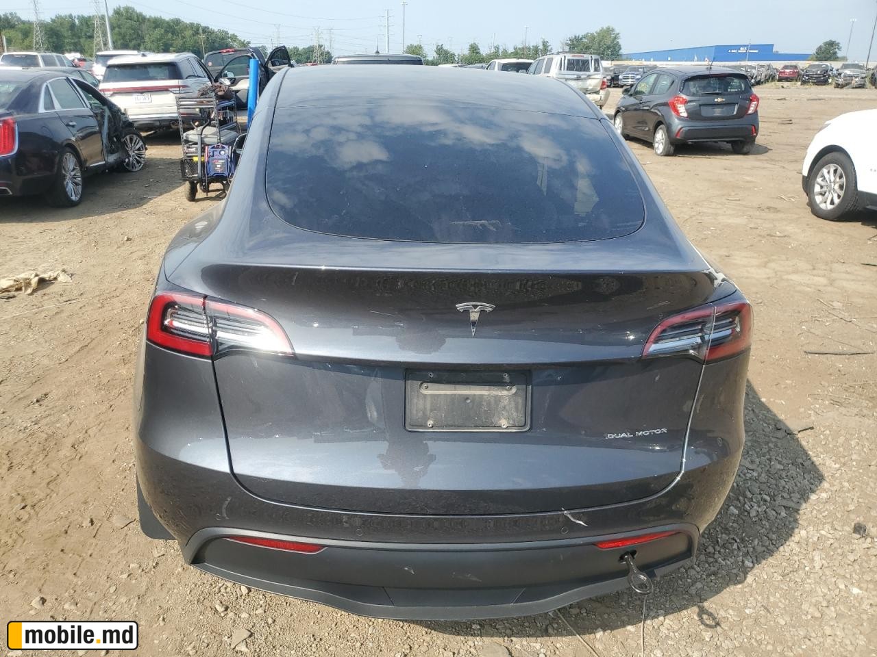2021 Tesla Model Y — photo 6