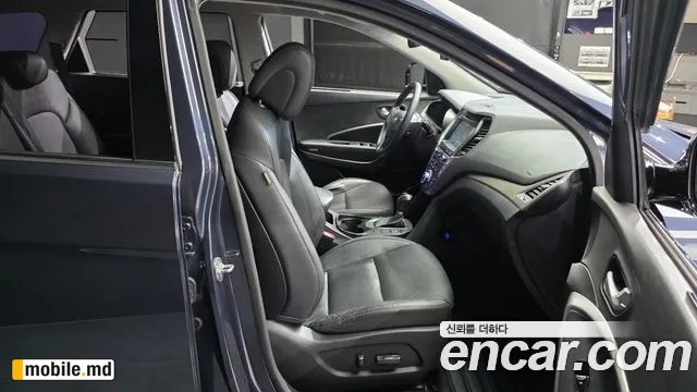 2017 Hyundai Maxcruz — photo 11