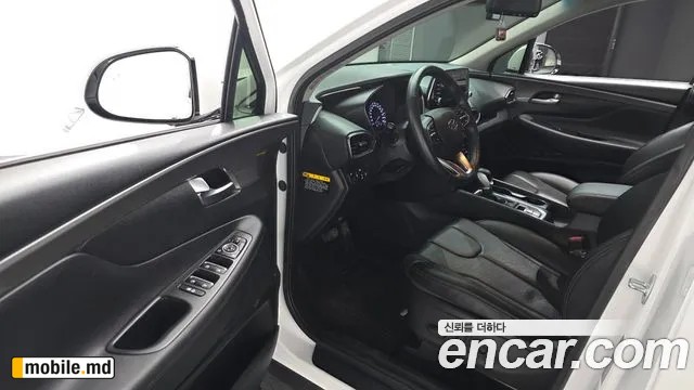 2019 Hyundai Santafe — photo 11