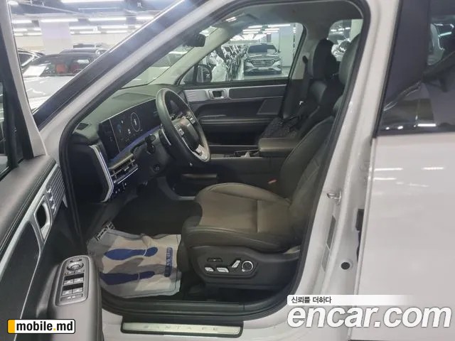 2025 Hyundai Santafe — photo 9